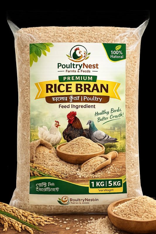 Premium Rice Bran (চালের কুঁড়ো) – Poultry Feed Ingredient