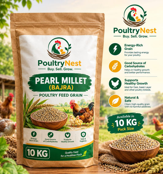 PoultryNest Pearl Millet (Bajra) - Fresh & Quality Poultry Grain