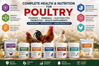 Vitamins & Supplements