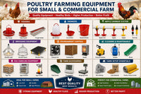 Poultry Equipment