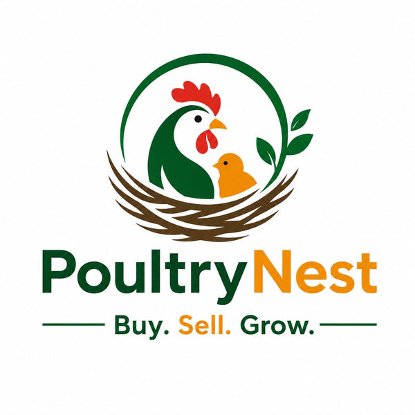 PoultryNest