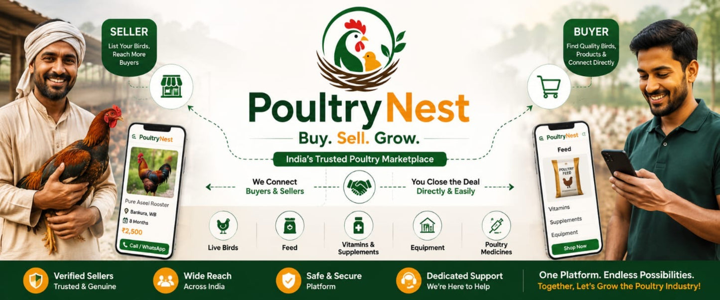 Premium Broken Rice for Poultry Feed | Buy Khud Online – PoultryNest