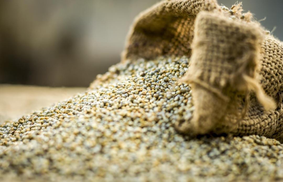 Pure Rajasthan Bajra (Pearl Millet) | Premium Poultry Feed | 1kg & 5kg