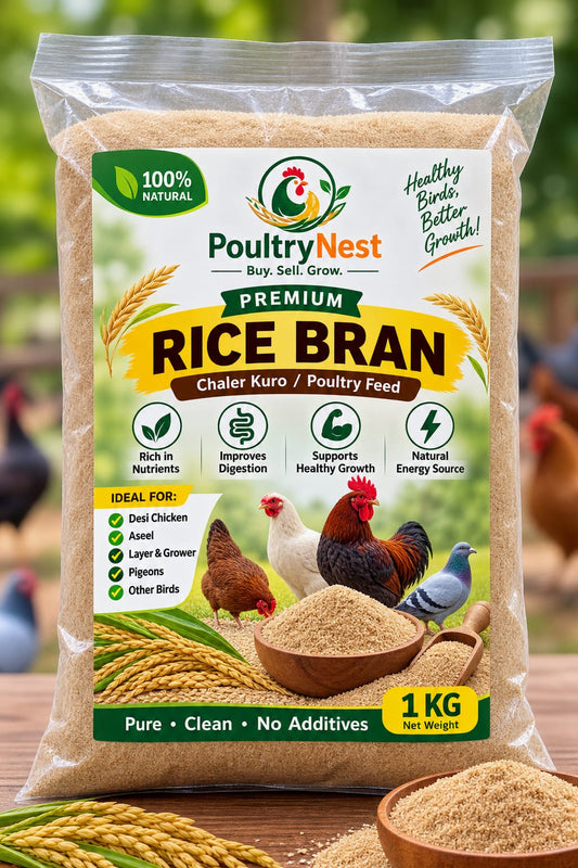 Premium Rice Bran (চালের কুঁড়ো) – Poultry Feed Ingredient