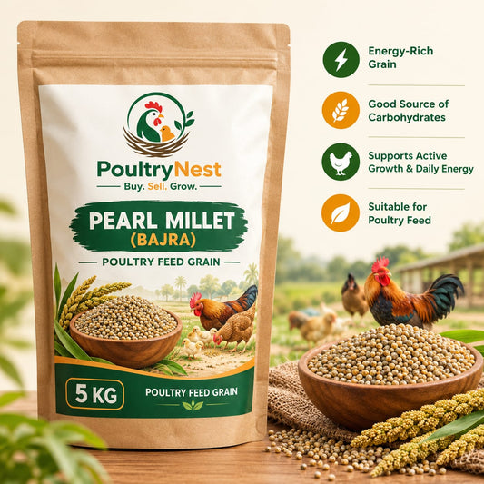 PoultryNest Pearl Millet (Bajra) - Fresh & Quality Poultry Grain