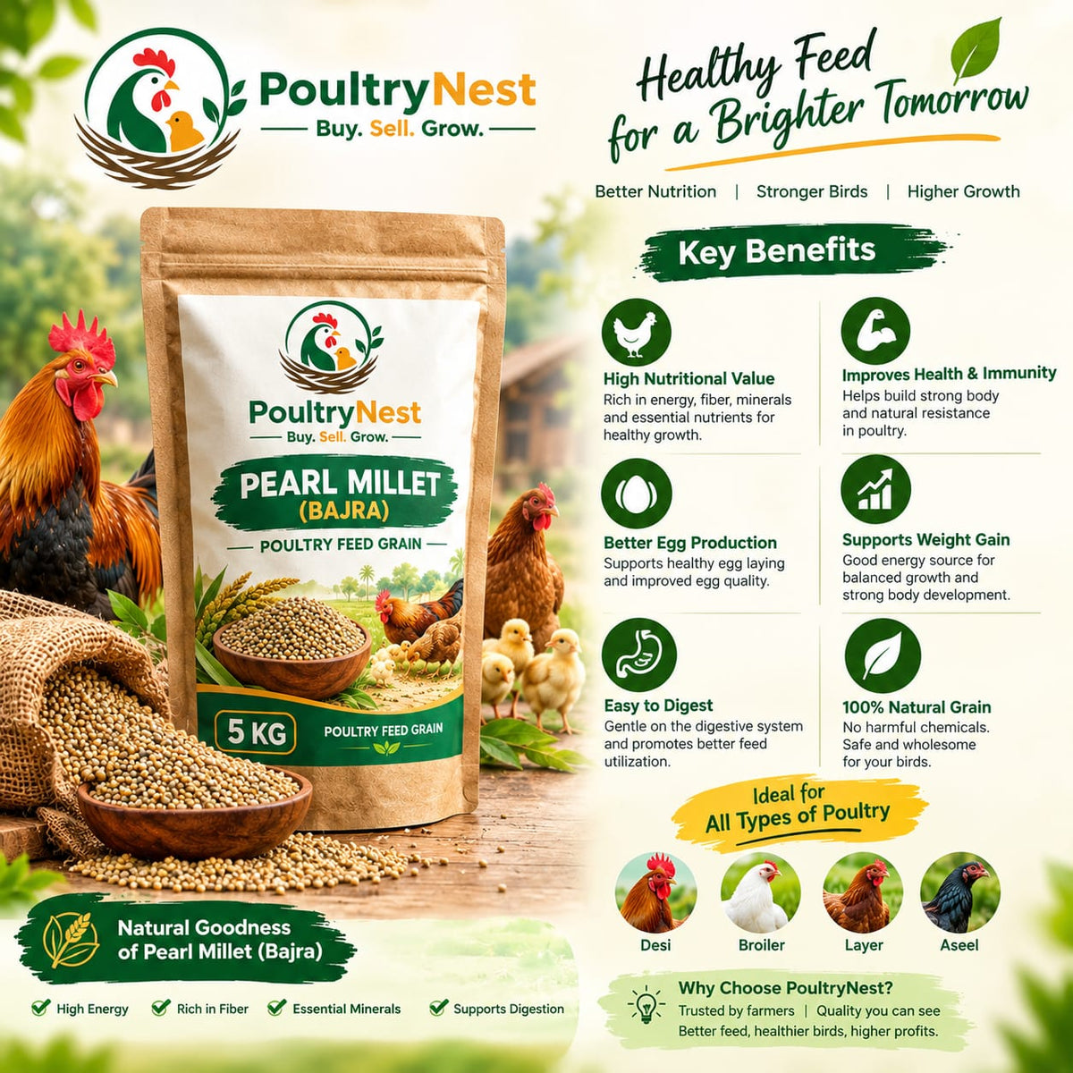 PoultryNest Pearl Millet (Bajra) - Fresh & Quality Poultry Grain