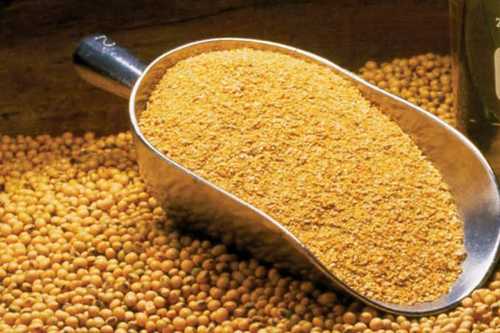 Premium Soybean Meal (সয়াবিন মিল) – High Protein Poultry Feed Ingredient